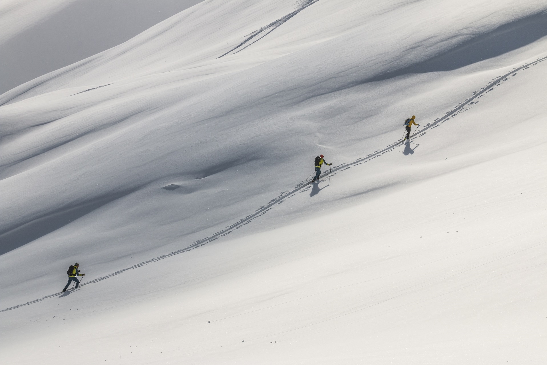 Sobotní prodej v Millu od 22.11.